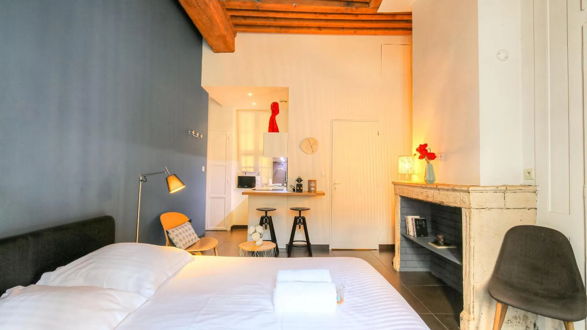 Apartamento Dify Ainay Lyon Francia